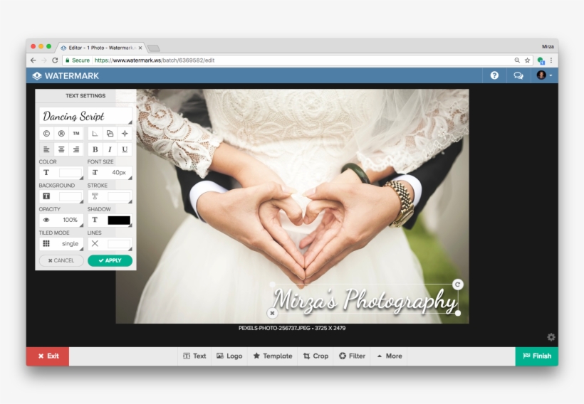 To Use Your Logo As Your Watermark, Choose The Logo, transparent png
