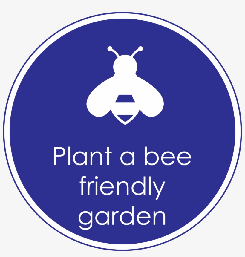 Food Action, transparent png