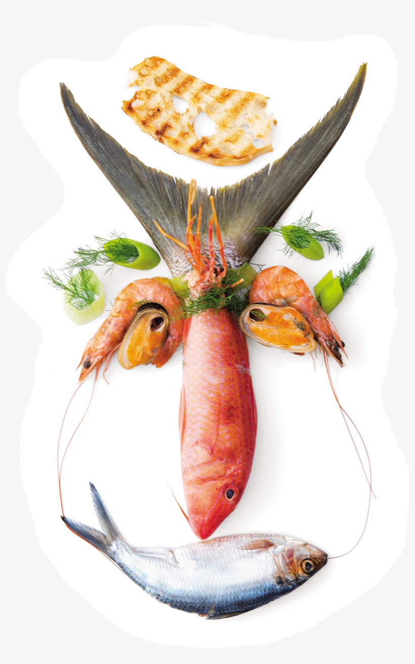 New Food Faces Book By Holland America Master Chef, transparent png
