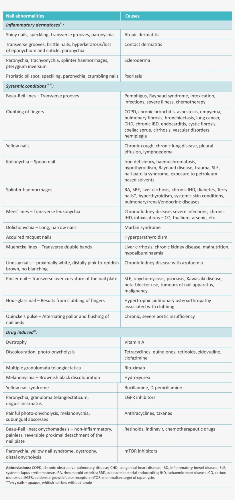 Differential Diagnosis In Skin Conditions, transparent png