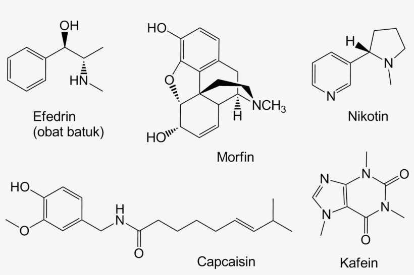 Because The Caffeine Extraction Using Ethanol A More, transparent png