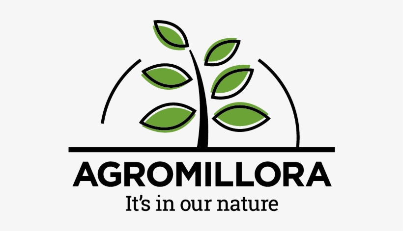 Agromillora, transparent png