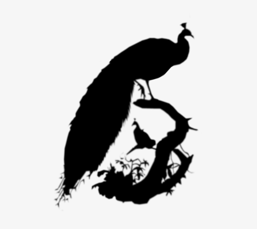 Pavo Cristatus Clipart Indian Peafowl Phasianidae, transparent png