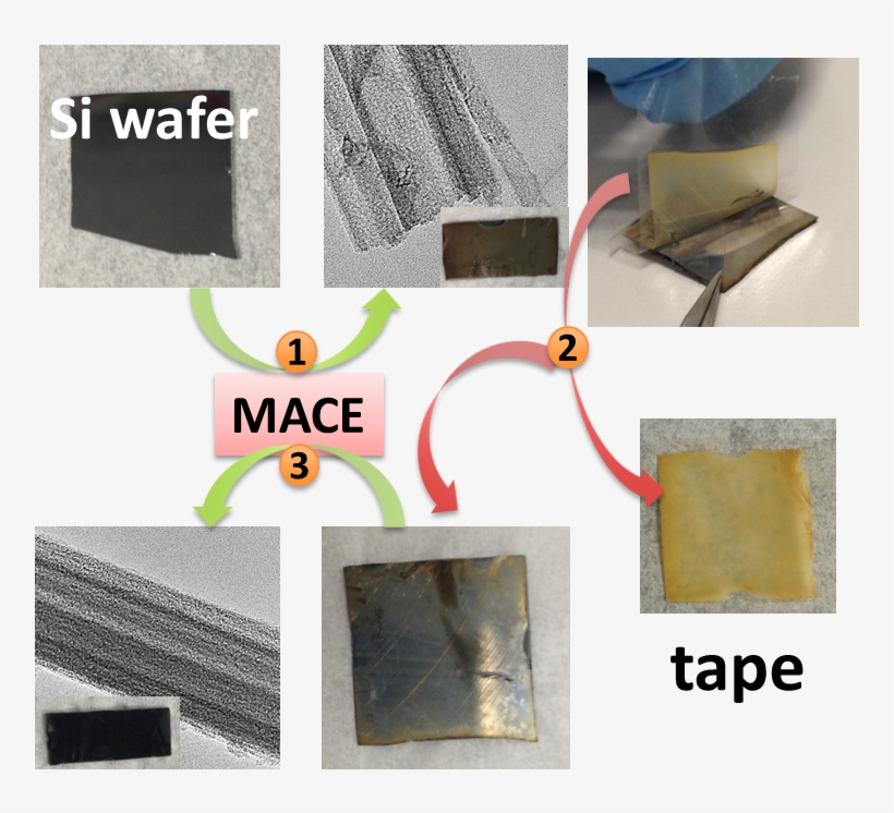 It Is Of Fundamental Significance To Engineer The Porosity, transparent png