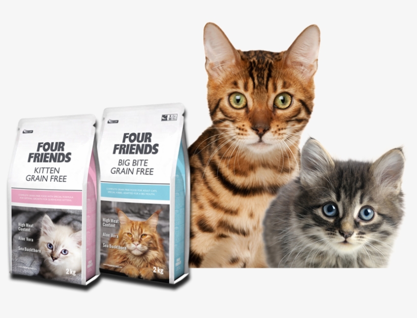 Premium Quality Cat Food, transparent png