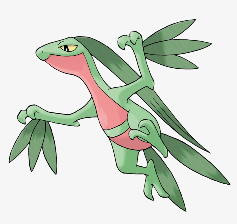 View Grovyle ,, transparent png