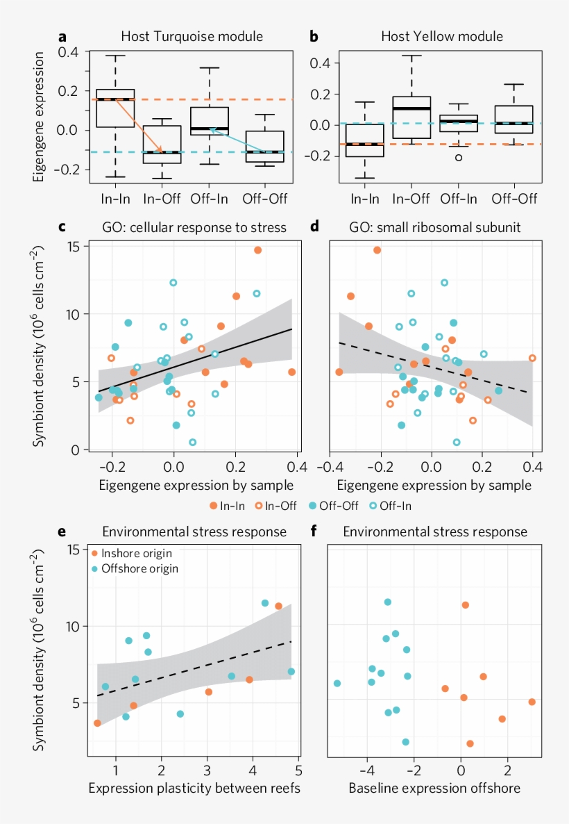 Inshore Coral Hosts Show Greater Gene Expression Plasticity, transparent png