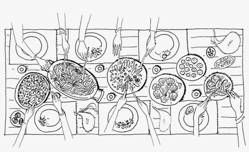 Paella Png, transparent png