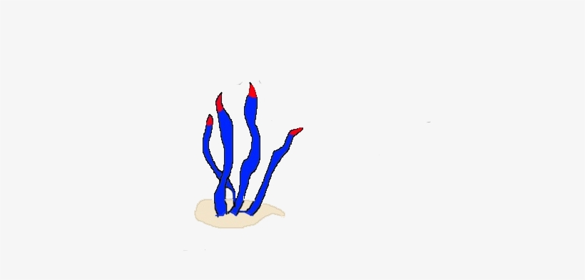 Atlantic Grass Concept Flora, transparent png