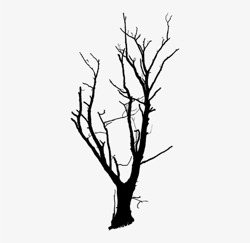 Trunk Tree Branch Snag Drawing, transparent png