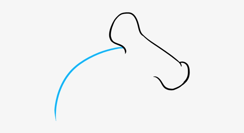 How To Draw Hammerhead Shark, transparent png