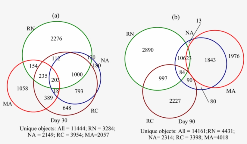 Shannon-weiner And Equitability Indices (×10 −1 ) (, transparent png