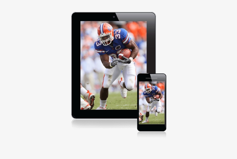 Sec Network Online On Mobile Devices, transparent png