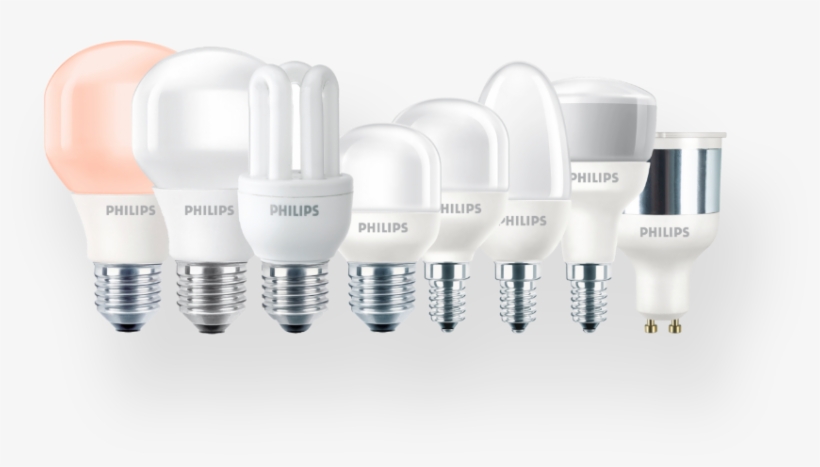 View Philips's Story, transparent png