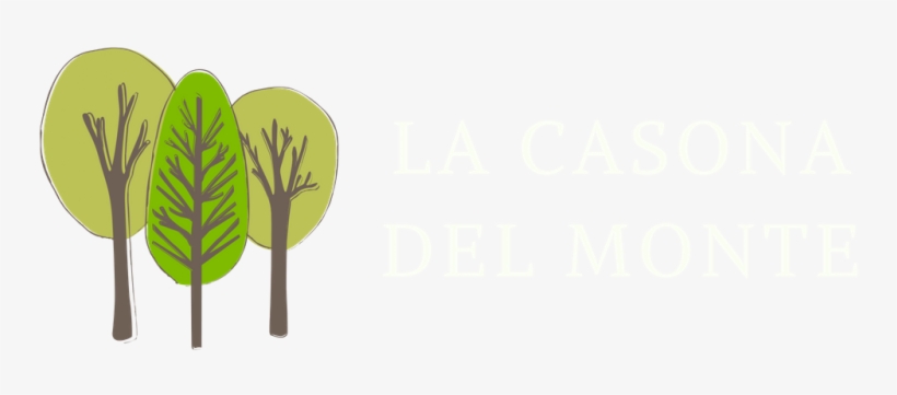 Del Monte Logo Png, transparent png
