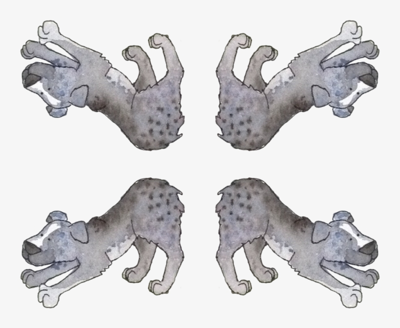 Hyena Png, transparent png