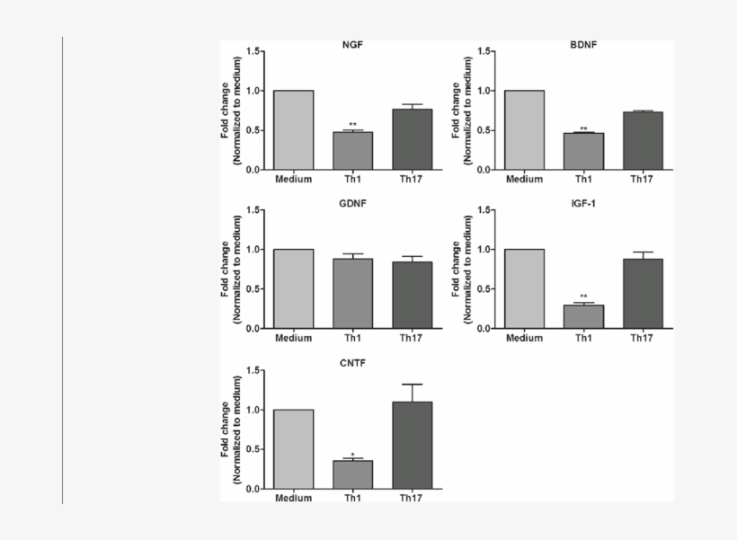 Effects Of Th1 And Th17 Derived Factors On The Expression, transparent png