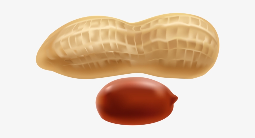 Png Clip Art Gallery - Peanut Clipart, transparent png