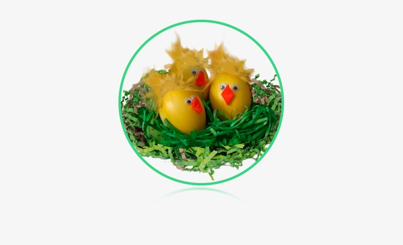 See What Is Included - Egg, transparent png