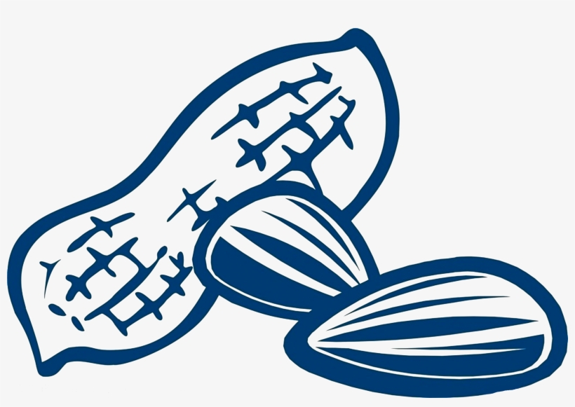 Peanut Kuaci Drawing Snack - Peanut Drawing, transparent png