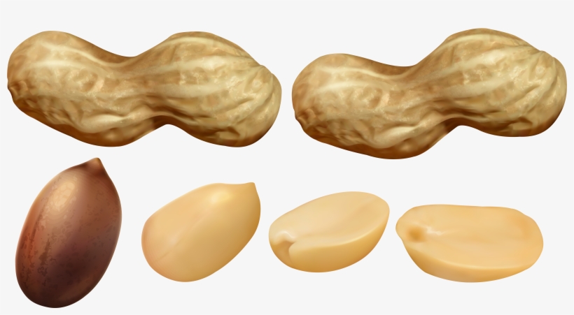 Clip Art, transparent png