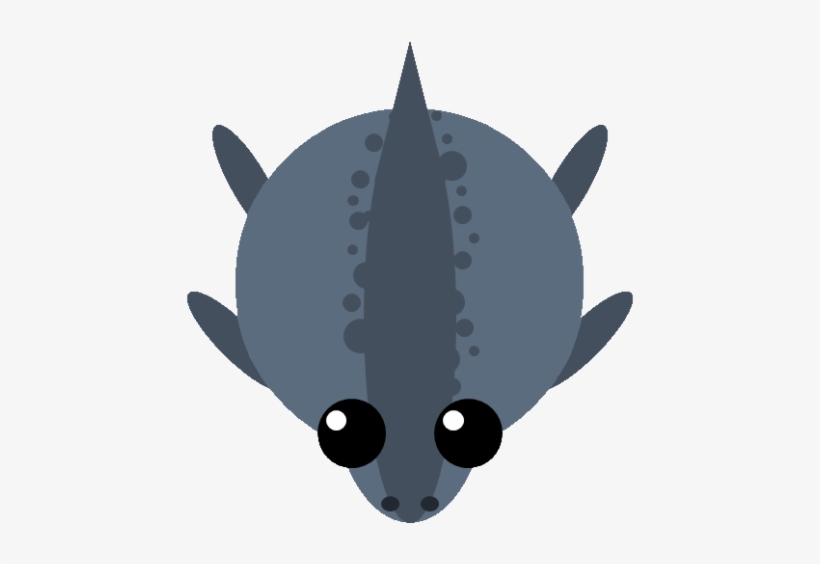 Loch Ness Monster - Cat, transparent png