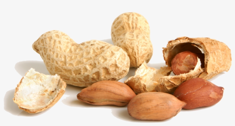 Peanut Png File - Peanuts Png Transparent, transparent png