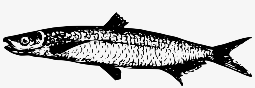 Lake Tanganyika Lake Victoria Lake Kivu Lake Malawi - Lake Tanganyika, transparent png