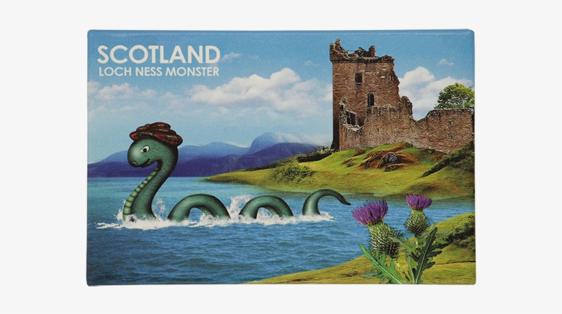 Refrigerator Magnet, transparent png