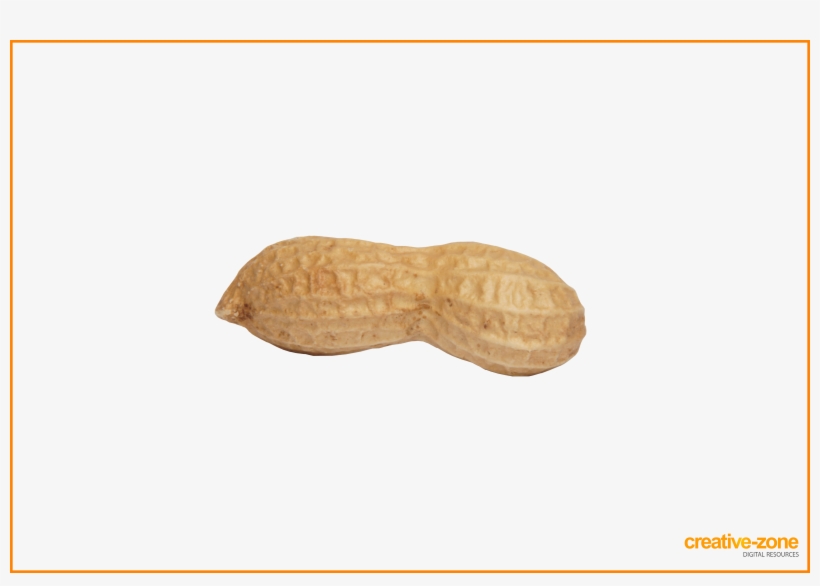 Peanut, Arachis In Schell - Peanut Transparent, transparent png