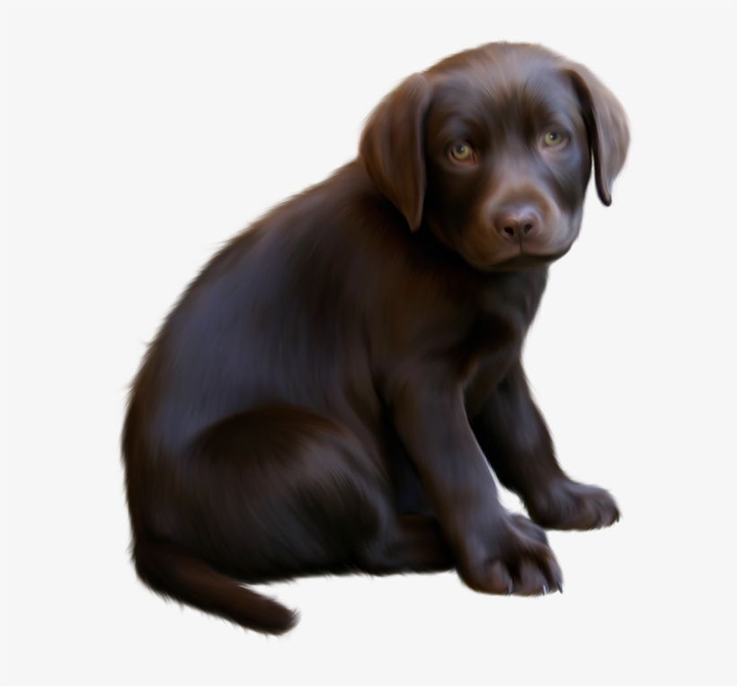 Clipart Download Cute Little With Blue - Brown Dog Transparent, transparent png