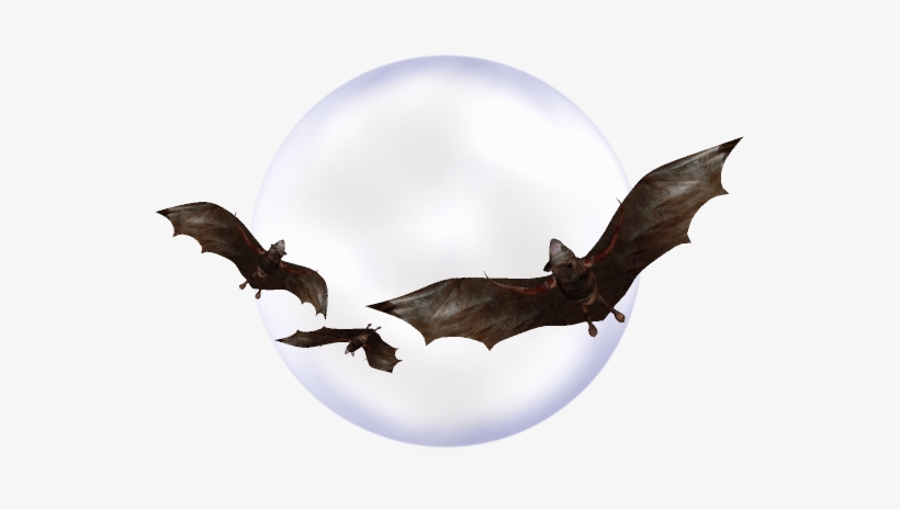 Bat-056 - Nasdaq:orig, transparent png