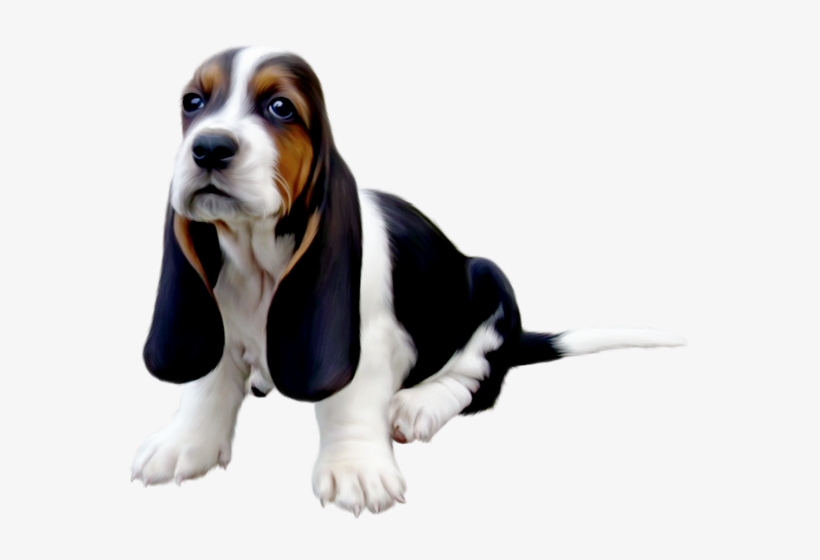 Vous Trouverez De Belles Images Pour Vos Blogs Cute - Basset Hound Dad Throw Blanket, transparent png