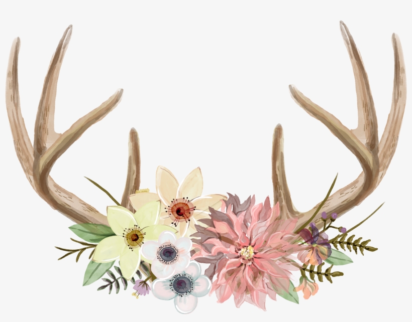 Watercolour - Antler, transparent png