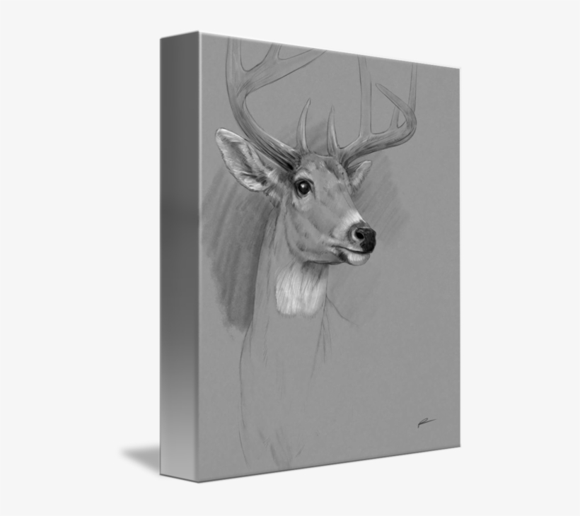 Drawings - Drawing, transparent png