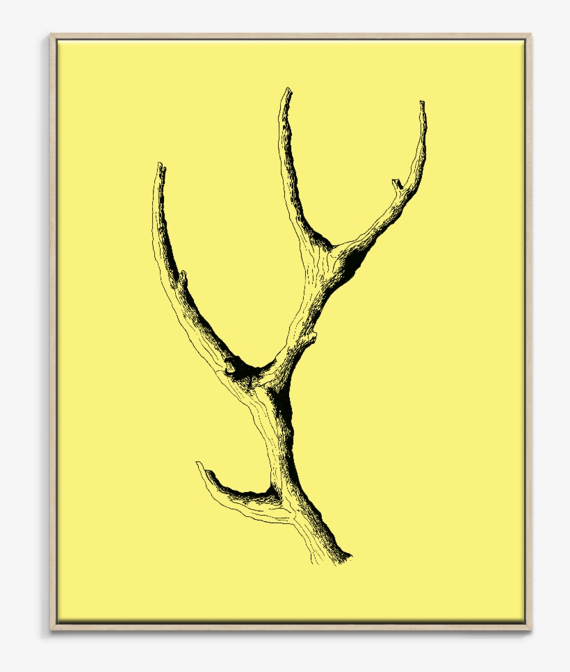 Ayarti Wooden Antler - Artist Lane Wooden Antler By Ayarti Framed Graphic, transparent png