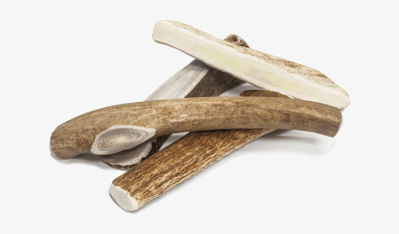 Prairie Dog Pet Products American Sourced Antlers - Driftwood, transparent png