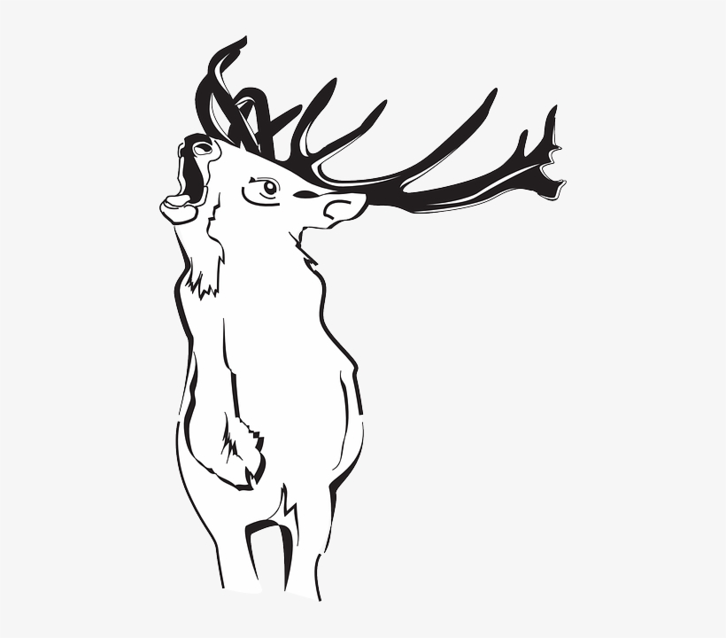 Outline, Deer, Art, Forest, Loud, Animal, Antlers - Deer, transparent png