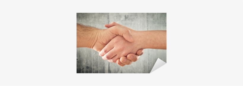 Man And Woman Shaking Hands - Handshake, transparent png