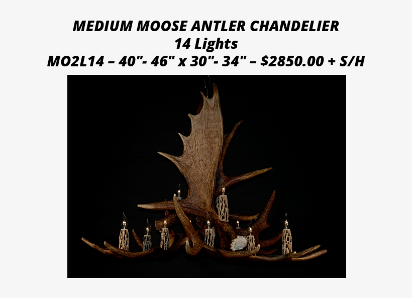 406 295 9041 Call Today - Antlers By Cody, transparent png