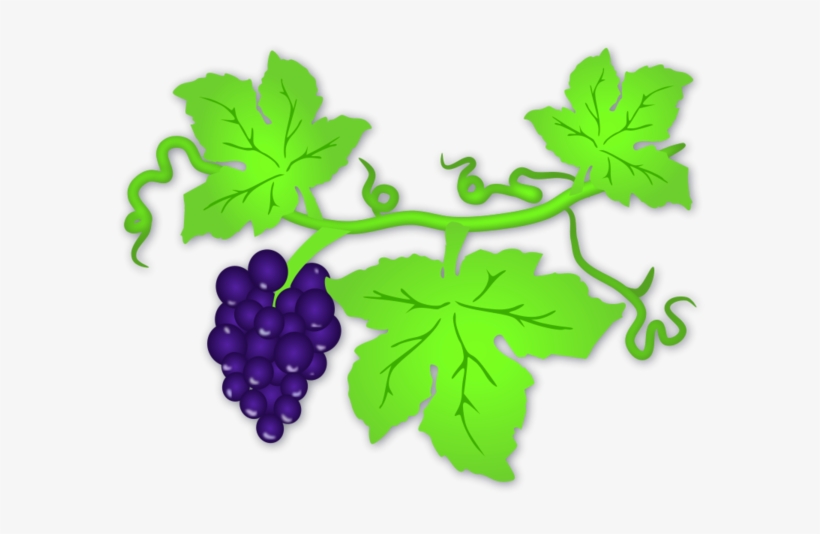 Leaves Of Grapes Clipart, transparent png