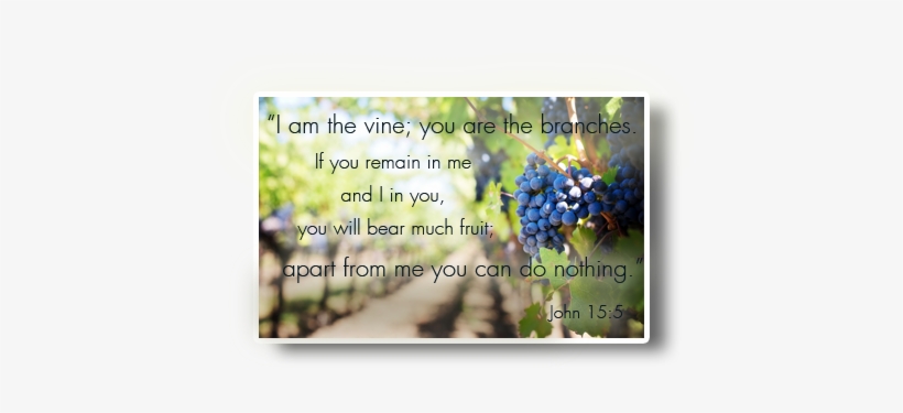 Worship-grapes - Journal Notebook Diary, transparent png