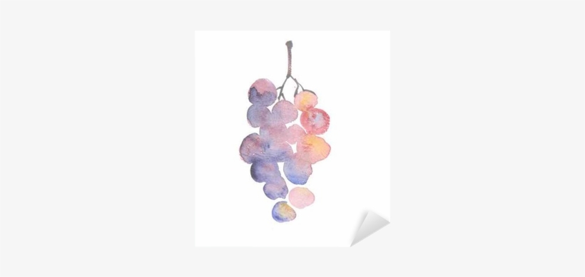 Rosy Grape Watercolor Sketch - Grape, transparent png
