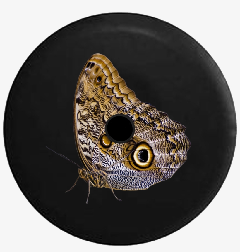 Jeep Wrangler Jl Backup Camera Realistic Butterfly - Butterfly Png, transparent png