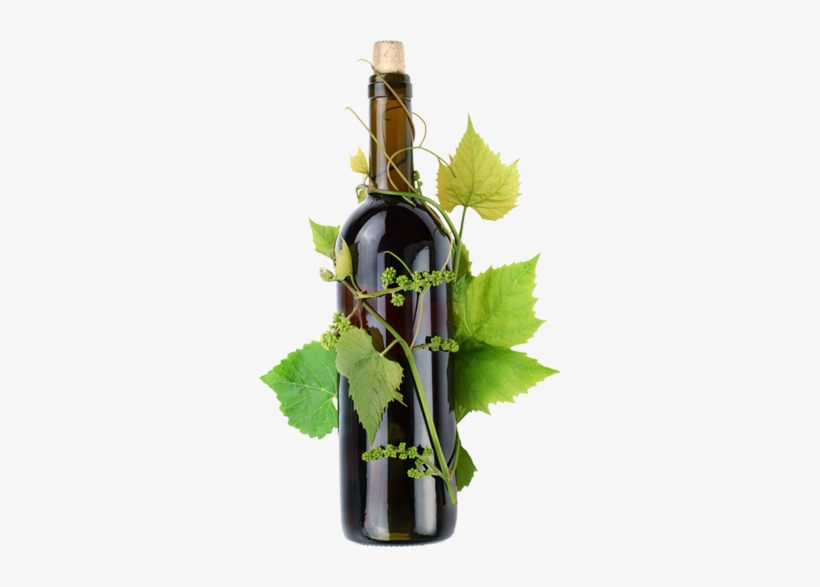 Book Now - Transparent Png Flower Wine, transparent png