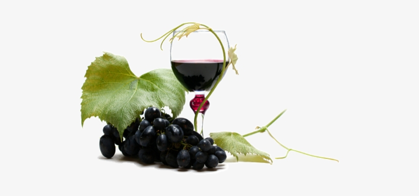 Vino - Berry, transparent png