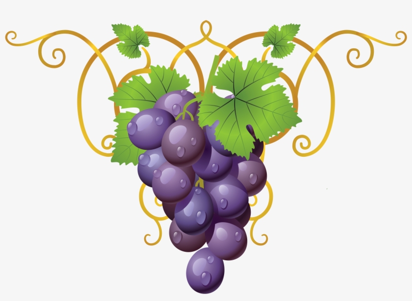 Grapevine Clipart Transparent - Decorative Element Cliparts Png, transparent png