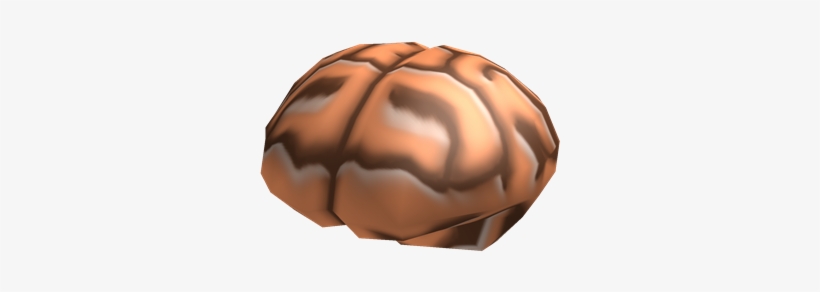 Brain Roblox Brain 420x420 PNG Download PNGkit 72 725355 Brain Roblox Brain 
