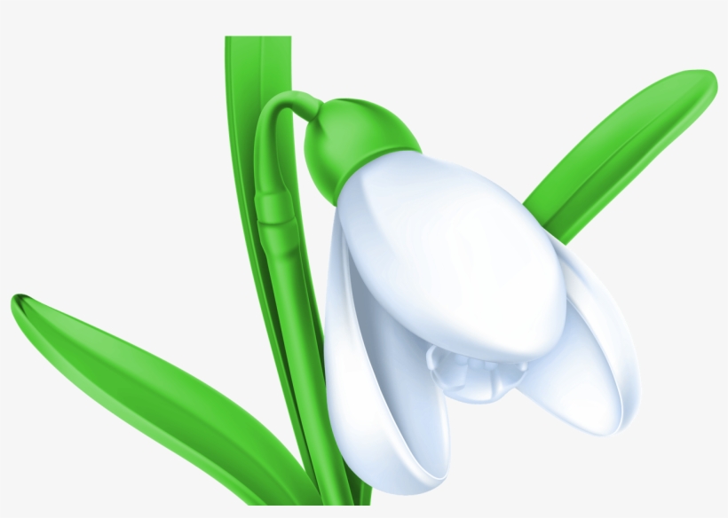 Pin By J Iannarone On Flowers Clipart Pinterest - Snowdrop Clipart, transparent png