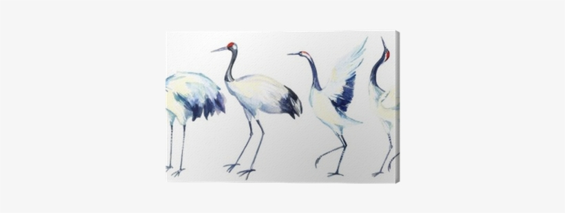 Watercolor Asian Crane Bird Set Canvas Print • Pixers® - Bird Crane, transparent png